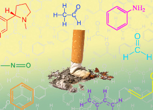 NicoZero blokuje citlivosti receptorů na nikotinu